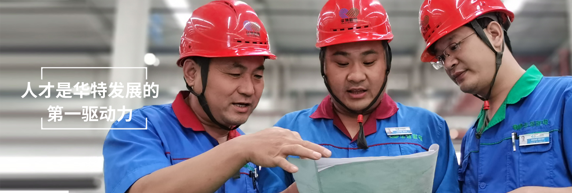 �Ϲ�NG��28(�й���)����Ʒ���������޹�˾